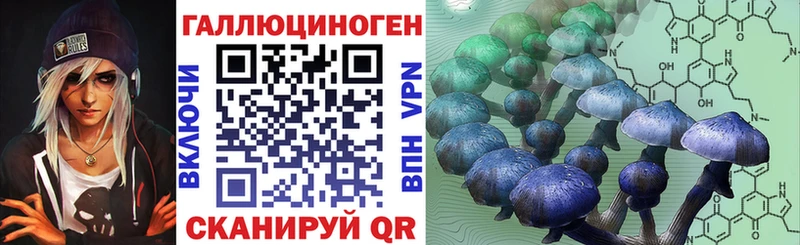 Псилоцибиновые грибы мухоморы  Губкинский 